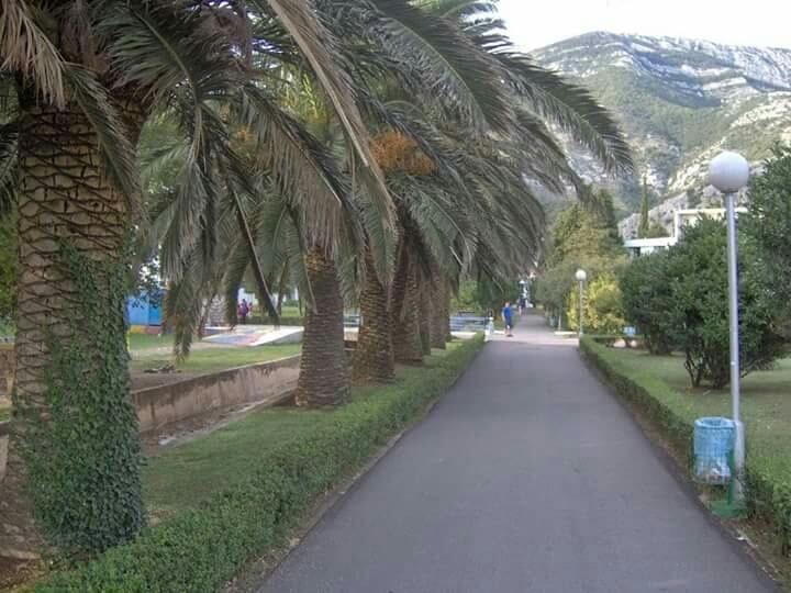 Apartmani Vukmanovic Čanj Dış mekan fotoğraf